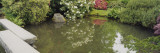 Reflection of Plants on Water  Kubota Gardens  Seattle  Washington State  USA