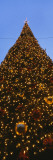 Christmas Tree  Union Square  San Francisco  California  USA