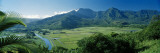 Taro Fields  Hanalei Valley  Kauai  Hawaii  USA