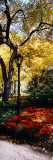 Lamppost in a Park  Central Park  Manhattan  New York City  New York  USA