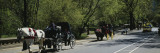 Horse Carriages Moving on a Road  New York  USA