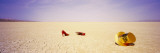 New Year Hat with a Pair of Red Stilettos in a Desert  Black Rock Desert  Nevada  USA