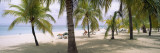 Sunning Tourists on 7-Mile Beach  Negril  Jamaica