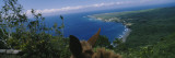 Mule on the Beach  Pacific Ocean  Kalaupapa  Molokai  Hawaii  USA
