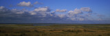 Clouds over a Landscape  Paynes Prairie Preserve State Park  Gainesville  Florida  USA