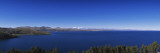 Trees at the Lakeside  Lake Titicaca  Copacabana  Bolivia