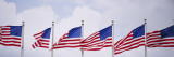American Flags Fluttering in Wind