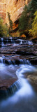 Waterfall in a Forest  North Creek  Zion National Park  Utah  USA