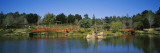 Reflection of Trees and Bridges in Water  Japanese Gardens in Toowoomba City  Queensland  Australia