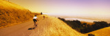 Cyclists on a road  Mt Tamalpais  Marin County  California  USA