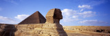 Sphinx in Front of a Pyramid  Great Pyramid  Giza  Cairo  Egypt