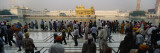 Crowd at Golden Temple  Amritsar  Punjab  India