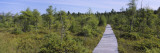 Adirondack State Park  Adirondack Mountains  New York  USA