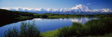 Mount McKinley and Alaska Range  Lake Reflection  Green Hills  Denali National Park  Alaska  USA