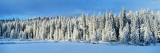 Winter Wawona Meadow Yosemite National Park  CA