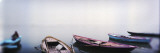 Row Boats in a River  Ganges River  Varanasi  Uttar Pradesh  India