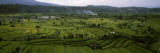Terraced Rice Fields  Candi Dasa  Bali  Indonesia
