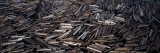 Logs Floating in a River  Saguenay River  Quebec  Canada