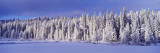 Winter Wawona Meadow Yosemite National Park  CA