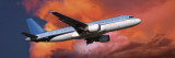 View of an Airplane in Flight