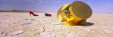 New Year Hat and a Pair of Red Stilettos in a Desert  Black Rock Desert  Nevada  USA