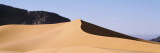 Sand Dune under a Clear Sky  Coral Pink Sand Dunes State Park  Utah  USA