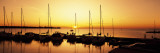 Silhouette of Boats in the Sea  Egg Harbor  Door County  Wisconsin  USA