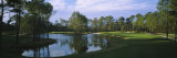 Pond on a Golf Course  Kilmarlic Golf Club  Outer Banks  North Carolina  USA