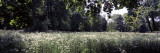 Flowers and Trees in a Garden  Garden of Lednice  Lednice  Moravia  Czech Republic