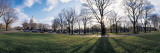 Trees in a Park with a Government Building in the Background  State Capitol Building  Washington DC