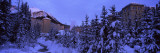 Snow Covered Trees at Fairmont Chateau  Mount Saint Piran  Banff National Park  Alberta  Canada