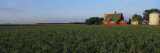 Farm Fields Stelle Il  USA