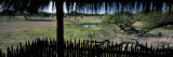 View from a Hut  Waterhole  Onguma Bush Camp  Etosha National Park  Kunene Region  Namibia