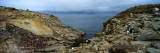 Penguins at the Coast  New Island  Falkland Islands