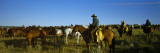 Cowboys Riding Horses in a Field