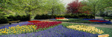 Flowers in a Garden  Keukenhof Gardens  Lisse  Netherlands