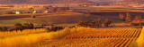 Australia  Tasmania  Richmond  Vineyard