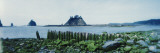 Rocks on the Beach  La Push Beach  Olympic Peninsula  Washington State  USA