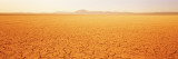 Cuddeback Dry Lake Mojave Desert  CA
