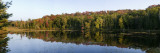 Reflection of Trees in a Lake  Adirondack State Park  New York State  USA