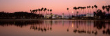 Reflection of Trees in Water  Santa Barbara  California  USA