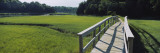 Boardwalk in a Field  Nauset Marsh  Cape Cod  Massachusetts  USA