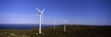 Wind Turbines at the Seaside  Albany Wind Farm  Sandy Point  Albany  Western Australia  Australia