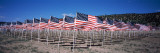 American Flags Laid Out in a Field  Questa  Taos County  New Mexico  USA