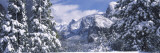 Mountains and Waterfall in Snow  Tunnel View  Half Dome  Yosemite National Park  California