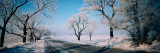 Road Passing Through Winter Fields  Illinois  USA