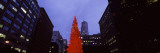 View of a Christmas Tree  San Francisco  California  USA
