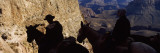Mule Riders and Hikers on the Trail  South Kaibab Trail  Grand Canyon National Park  Arizona  USA