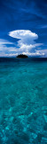 Trees on an Island  San Blas Islands  Panama