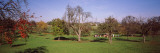 Apple Trees in an Orchard During Harvest  Baden-Wurttemberg  Germany